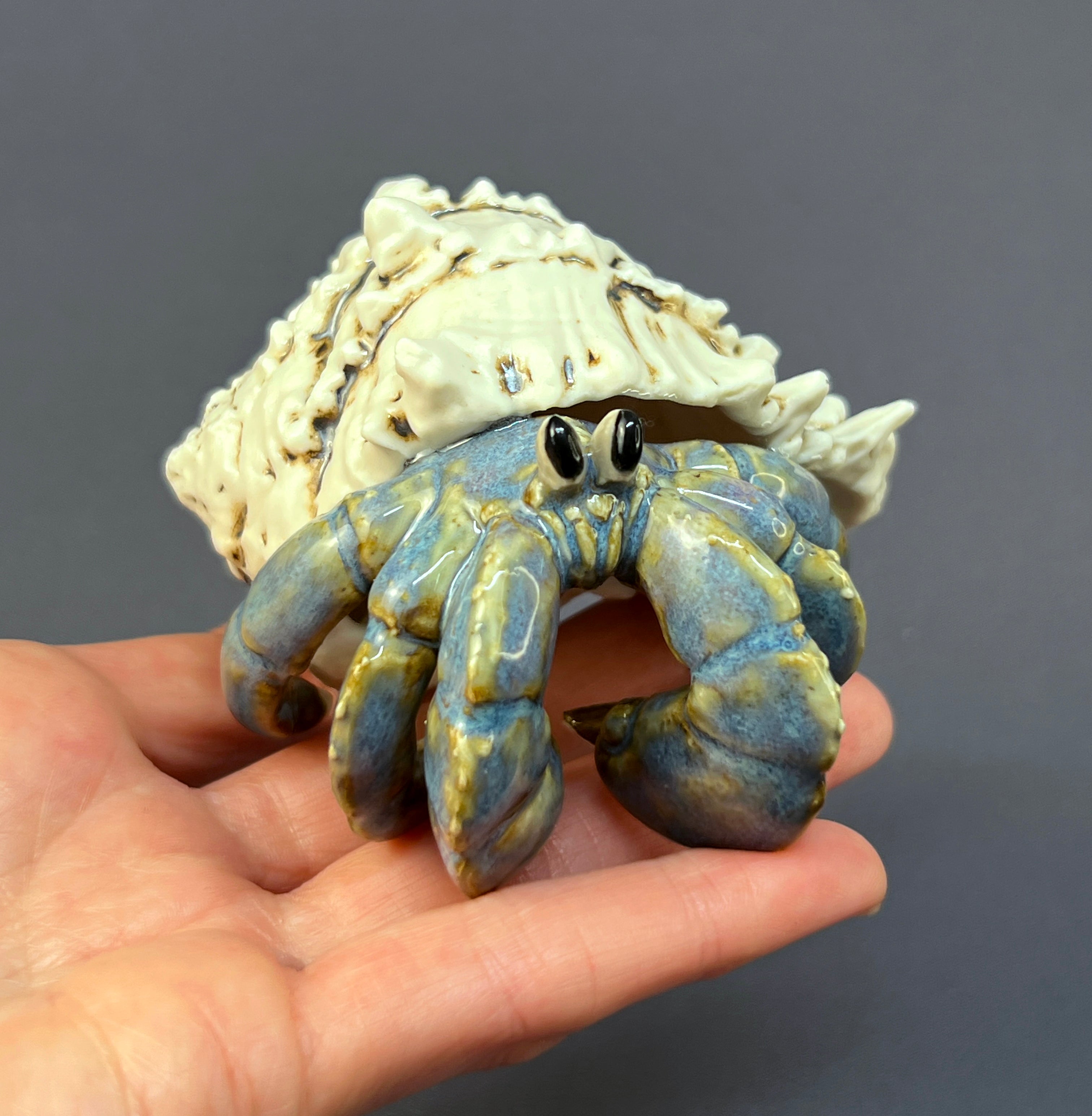 Porcelain Blueberry Hermit Crab - Light Blue – Bolde Studios