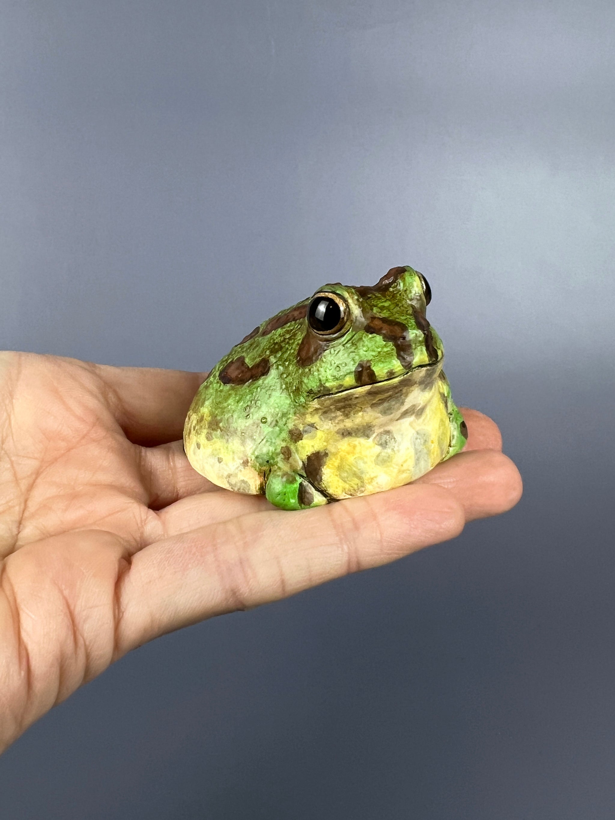 chaco_frog_2_2048x.jpg?v=