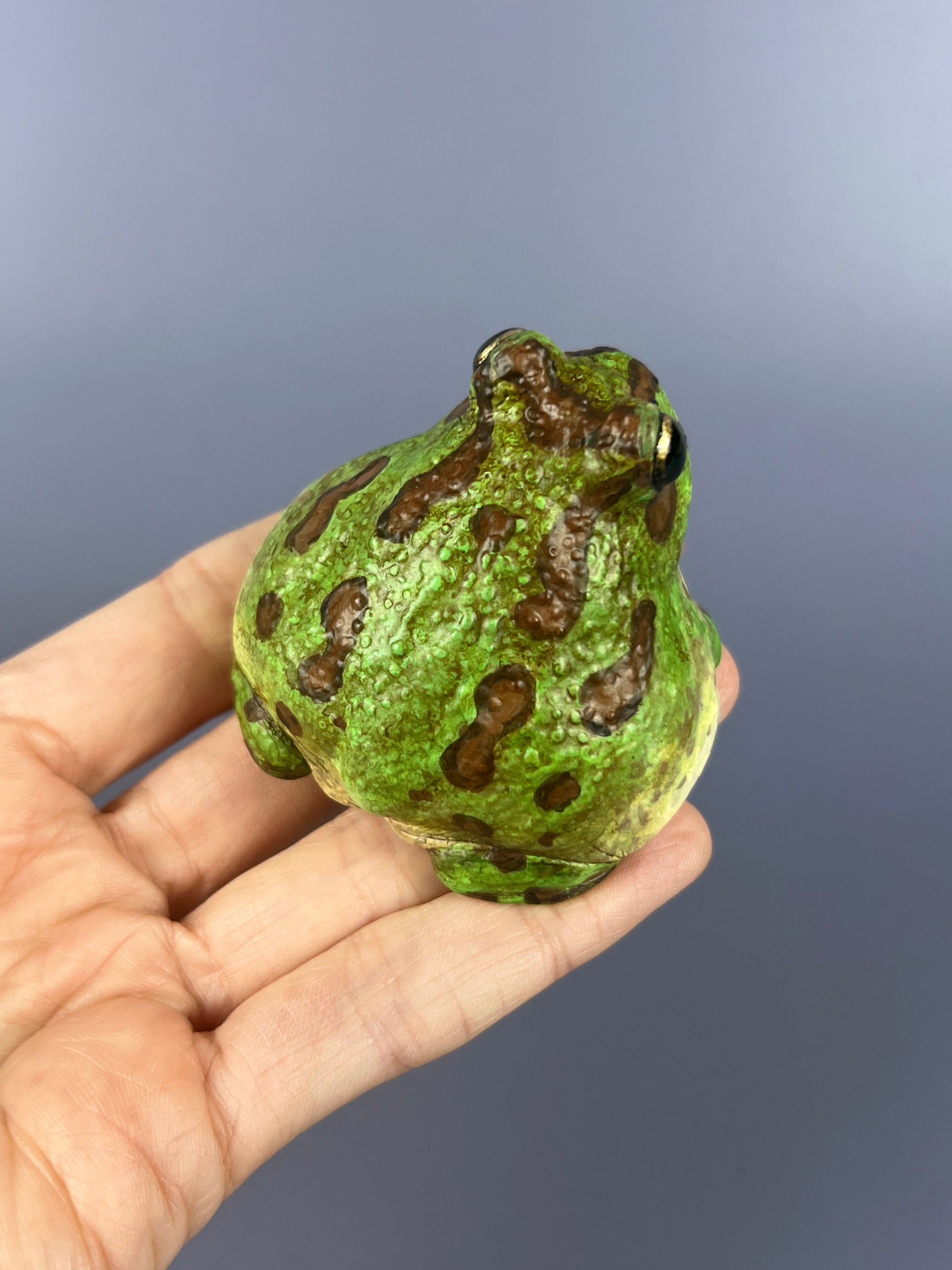 Chaco Horned Frogs – Bolde Studios