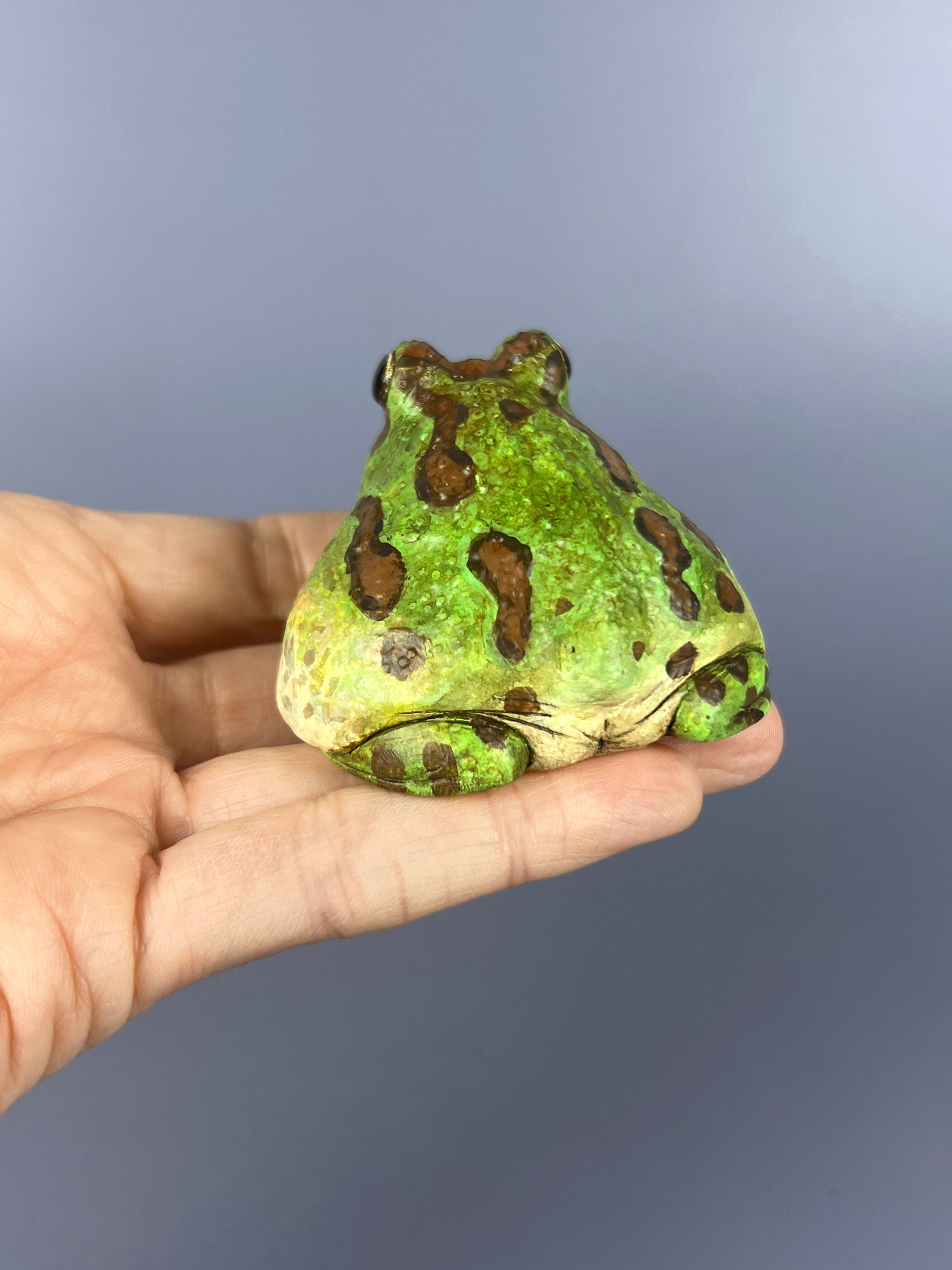 Chaco Horned Frogs – Bolde Studios